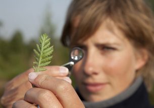 The BES Women in Ecology Mentoring Scheme Needs YOU