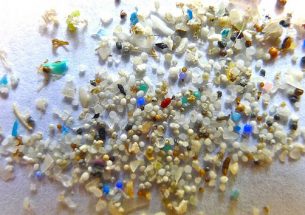 Microbeads: small plastics causing big problems