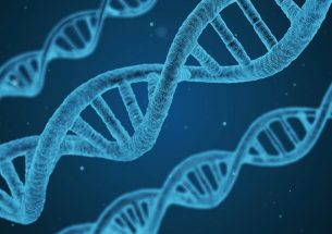 Science and Technology Committee inquiry: Genomics and genome-editing