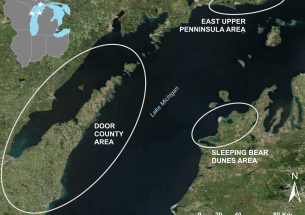 Lake Michigan waterfowl botulism deaths linked to warm waters and algae