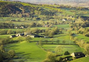Health and Harmony: the future for food, farming and the environment in a Green Brexit Consultation