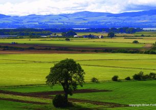 Stability and Simplicity - proposals for rural funding transition period: A Scottish Government consultation