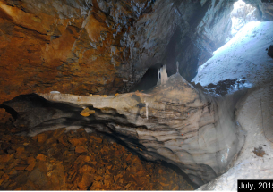 Ice cave reveals environmental forcing of long-term Pyrenean treeline dynamics