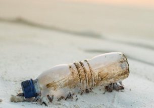 The Puzzle of Plastics: Is there a solution to single-use?