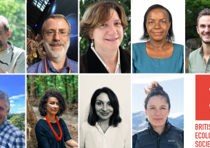 Announcing the 2019 British Ecological Society award winners