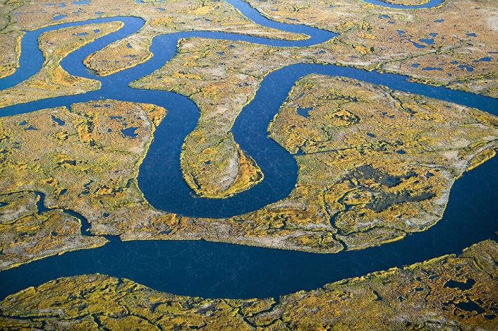 A sky view of some wetlands
