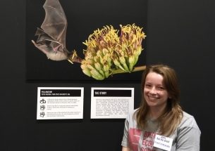 From scientist to storyteller: my PhD placement with the BES