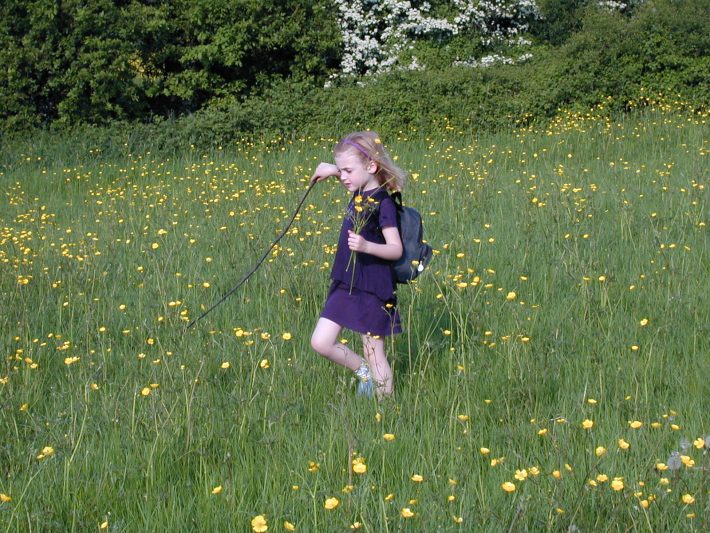 child outdoors with buttercups