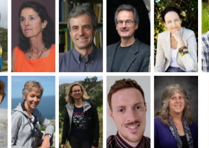 Announcing the 2020 British Ecological Society award winners