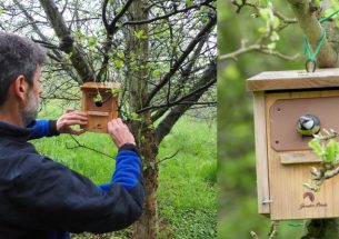 Installing bird nest boxes improves pest control in cider apple crops