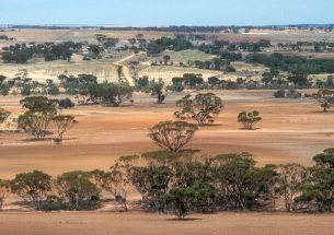 Researchers calculate the cost of restoring Australia’s degraded ecosystems