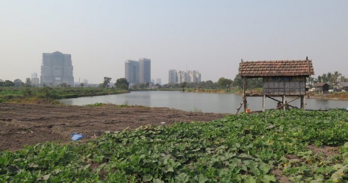 Image of an urban farm in Inda