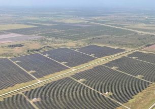 Ecological trade off? Utility-scale solar energy impedes endangered florida panthers