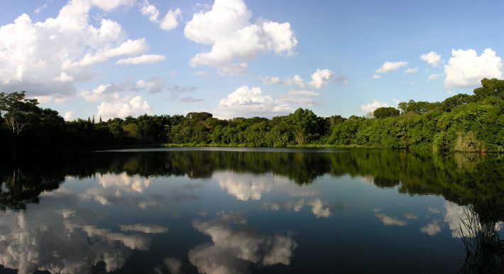 Sociedade Ecológica Britânica: Matas Atlânticas cercam um lago no estado de São Paulo, Brasil.