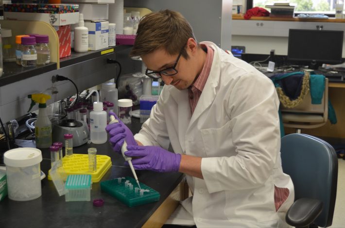 PhD Student Jack Devlin Pipettes samples in the lab.