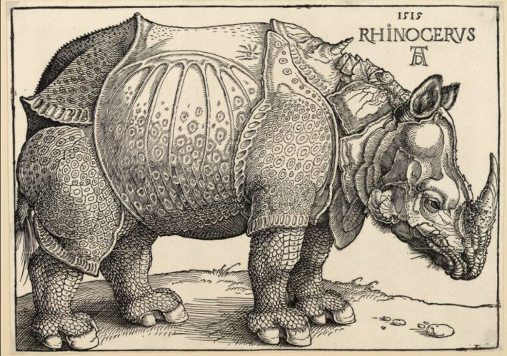 Woodcut of a rhino
