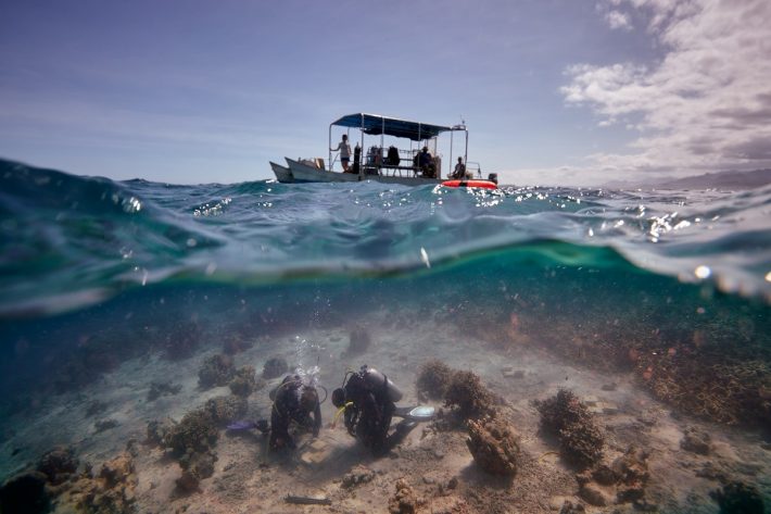 The waters surface splits the scene in two: above the water a small research vessel drifts through the seas, bellow two scuba divers install cages on the sandy sea bed surrounded by lumps of coral.