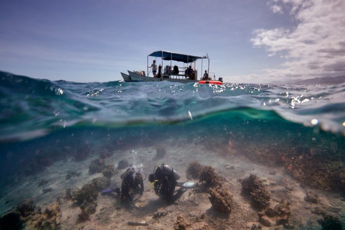 The waters surface splits the scene in two: above the water a small research vessel drifts through the seas, bellow two scuba divers install cages on the sandy sea bed surrounded by lumps of coral.