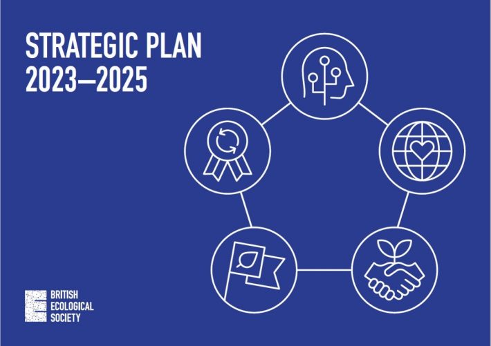 Cover of the strategic plan