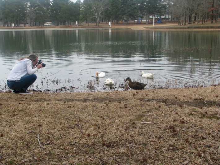 Image of a woman photographing birds in a local park to benefit wellbeing