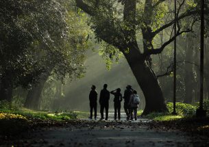 Local nature associated with greater sense of wellbeing, according to new study