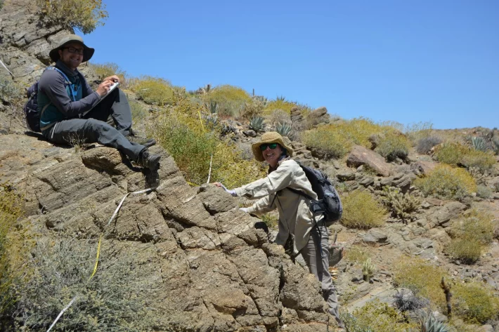 UC Riverside researchers sampling plants in the Sonoran Desert