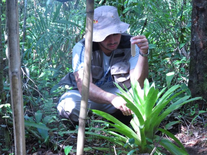 A researcher sampling water in a forest