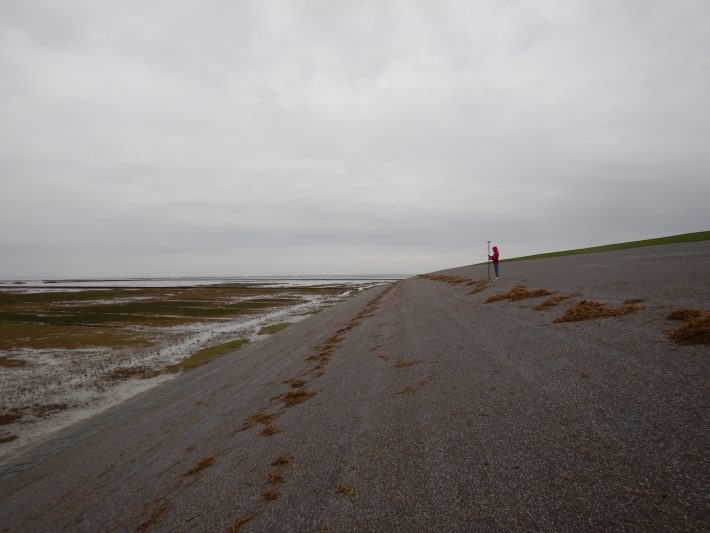 A researcher standing on a beach in the Netherlands