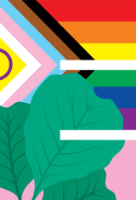 BES logo in Pride flag colours