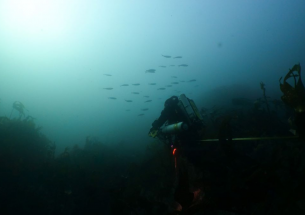 Marine Protected Areas don’t line up with core habitats of rare migratory fish, finds new research