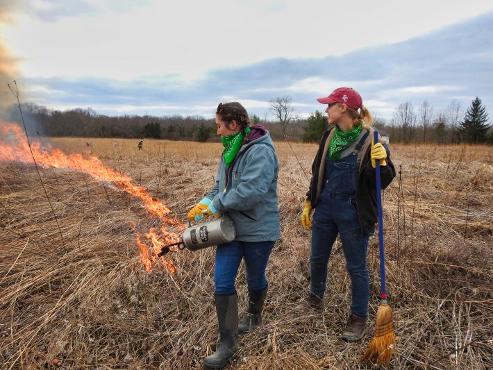 Co-authors of the LGBTQIA+ paper conduct a prescribed burn in rural Indiana